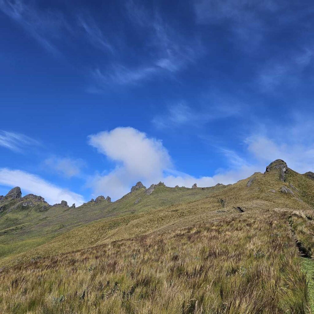 Caminata al Cerro Puntas
