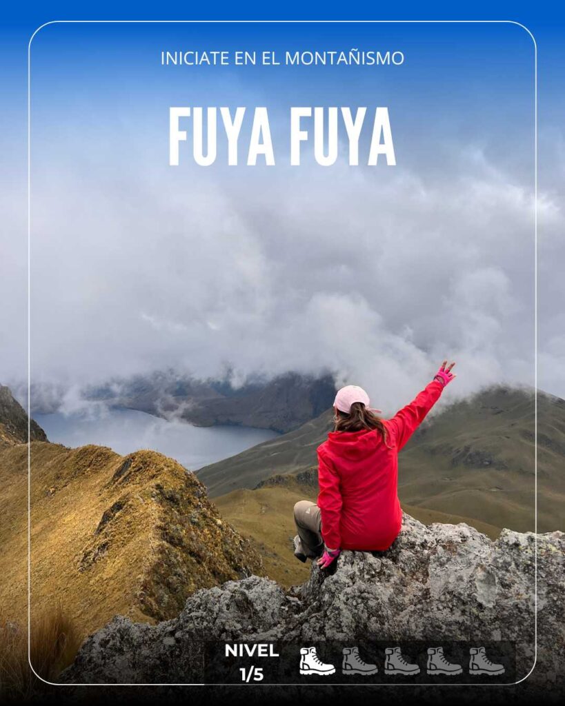 fuya fuya