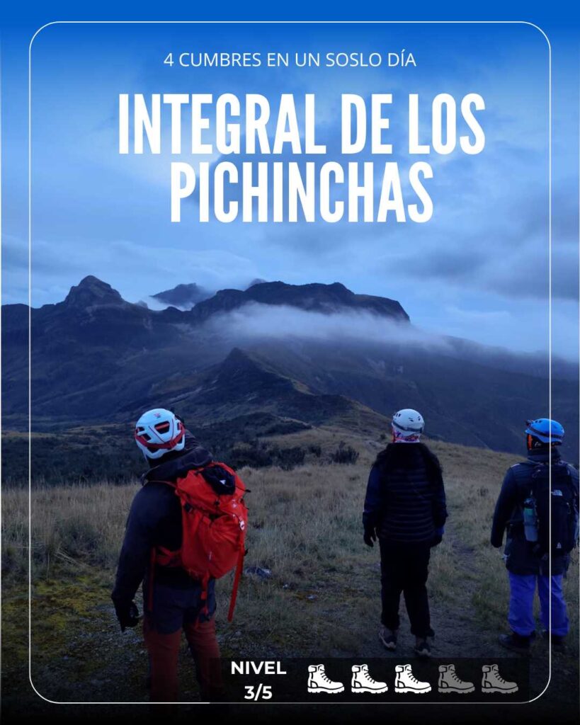 integral pichincha