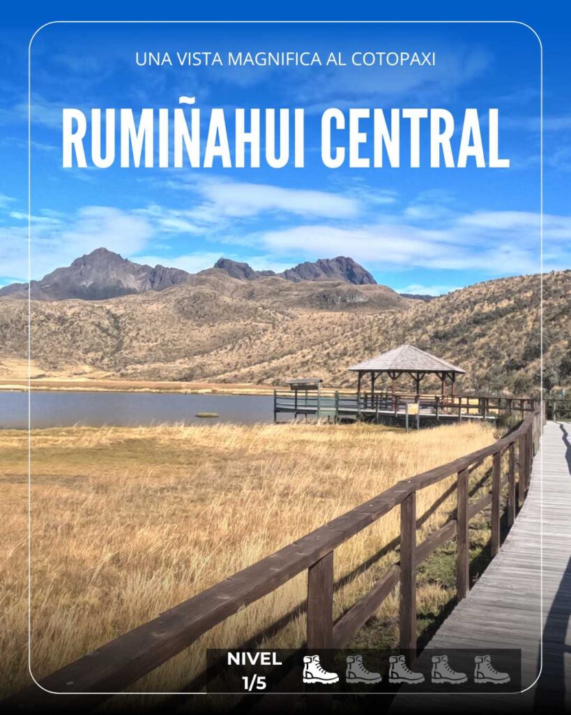 rumiÑahui central