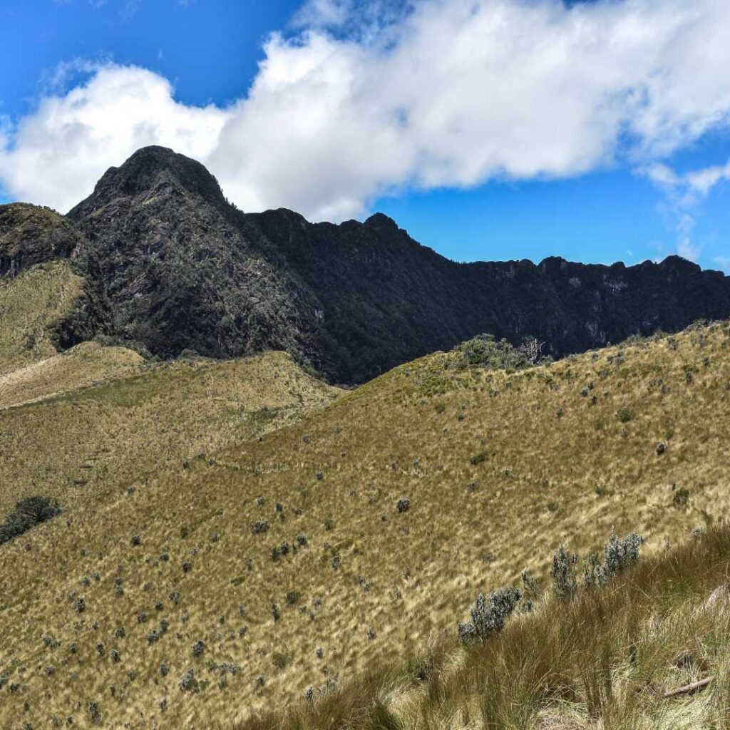 Reserva Ecológica Pasochoa