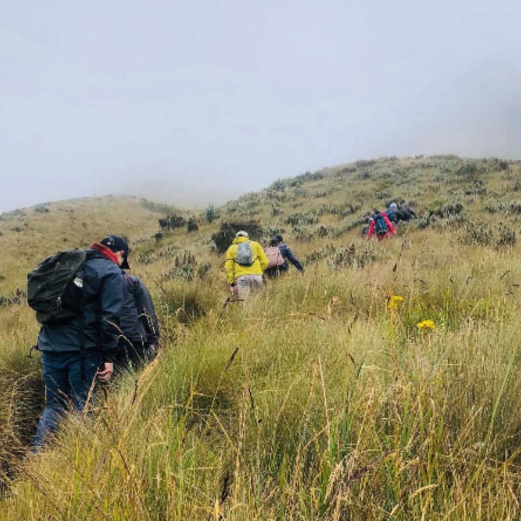 Nature tour Ecuador