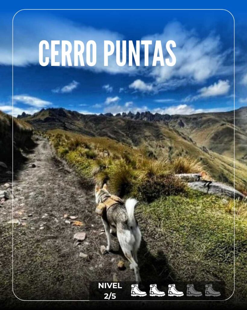 Cerro Puntas tour