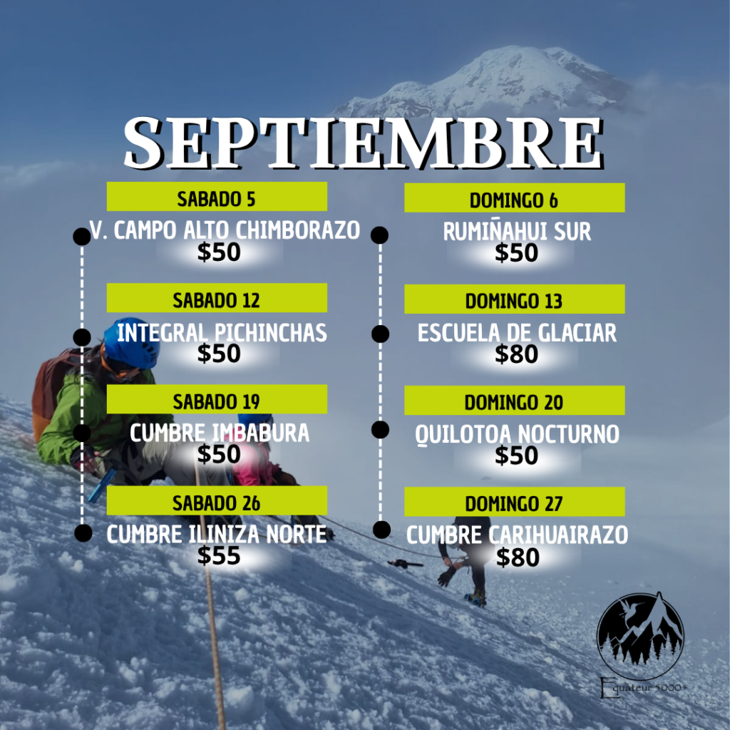post de instagram torneo de tenis cronograma de actividades minimalista verde (30)